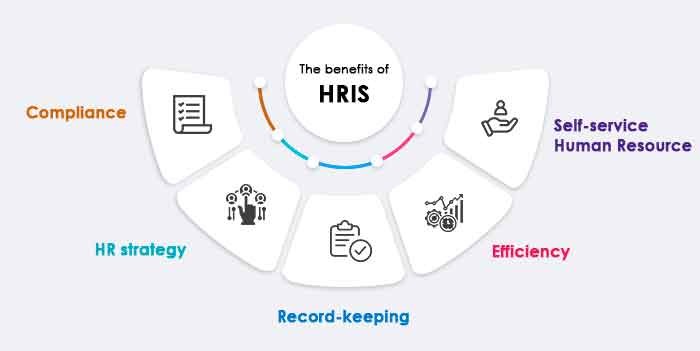 Comparing different HRIS system pricing models and their value for money