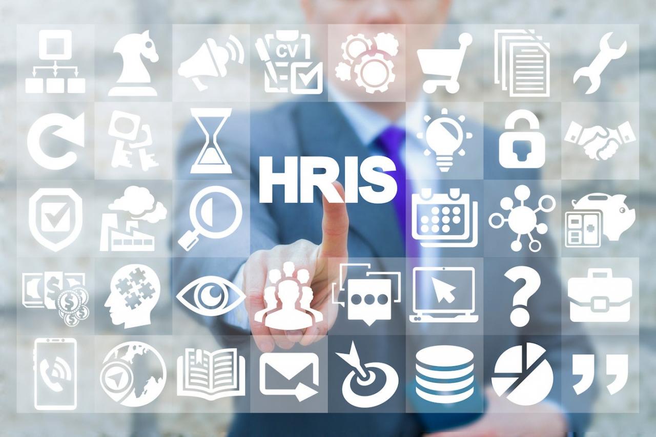 Best HRIS systems for small and medium-sized businesses with limited budgets