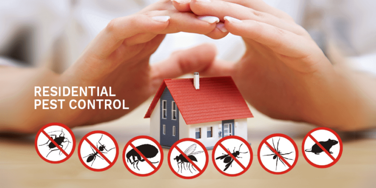 Safe pest control for individuals with respiratory issues