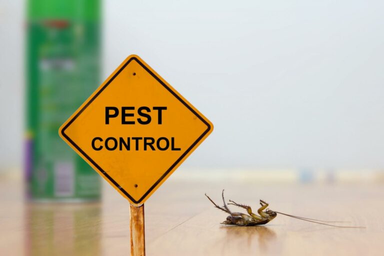 Best pest control methods for sensitive individuals and pets