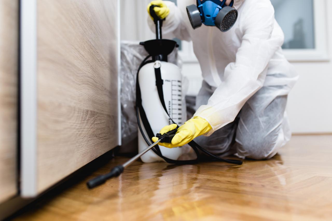 Preventing pest infestations in new construction homes