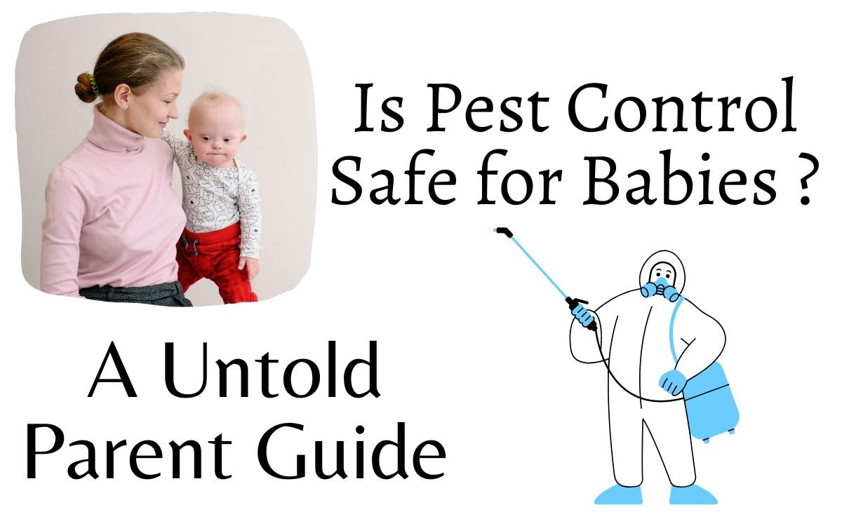 Pest pet control safe pests pets harming rid without get keeping house out