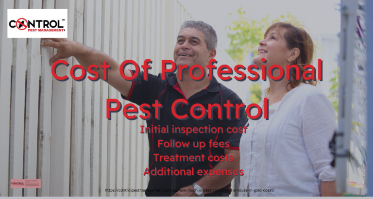 Affordable pest control options for low-income families