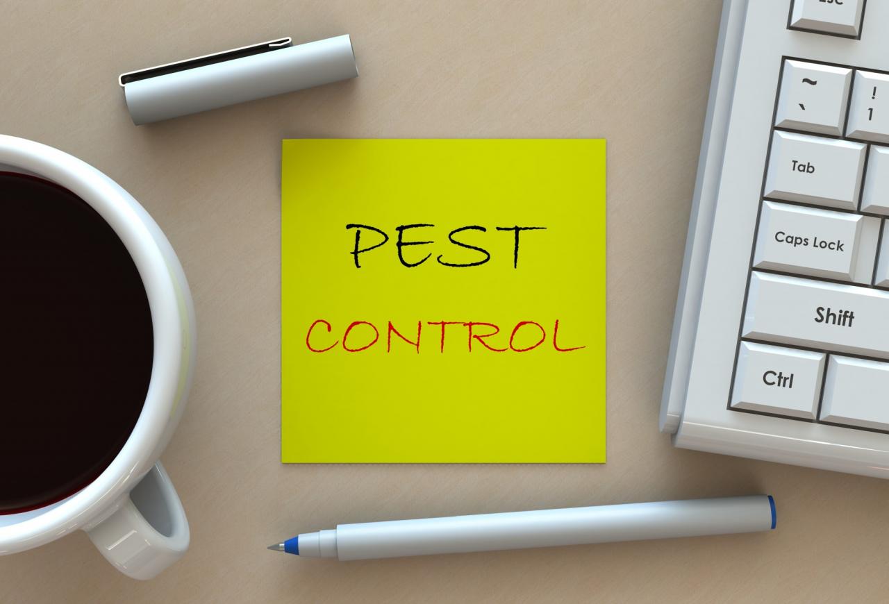 Long term pest control strategies for apartments