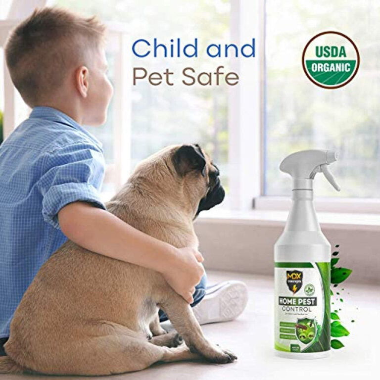 Natural pest control solutions for families with young children