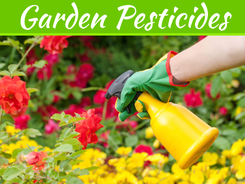 Organic pest control options for gardens and yards