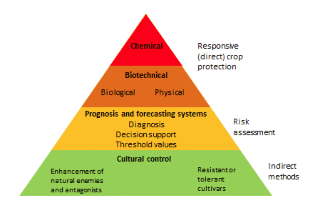 Understanding the environmental impact of different pest control methods