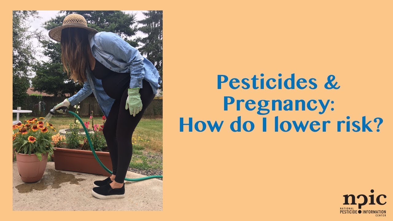 Least toxic pest control for pregnant women