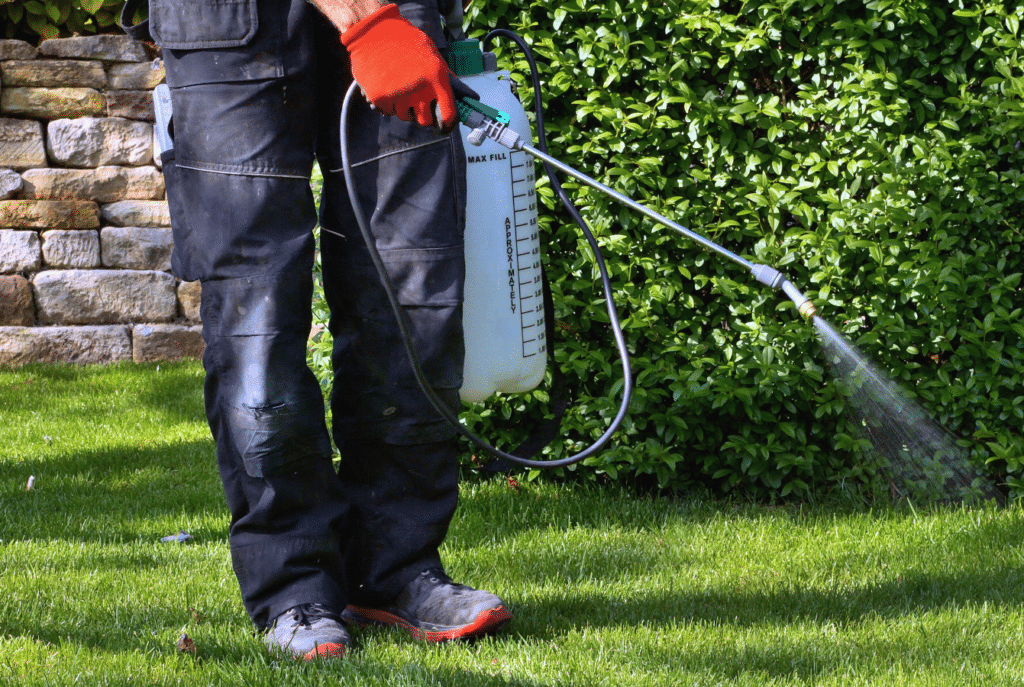 Finding a pest control company that uses safe methods