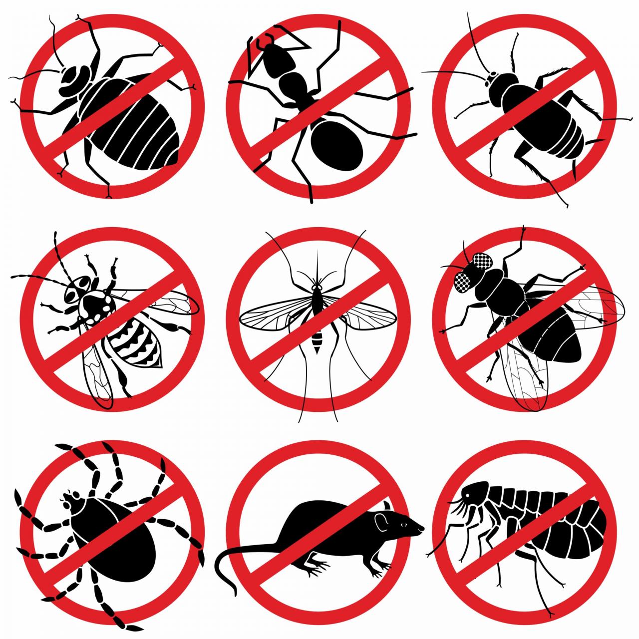 Best pest control methods for sensitive individuals and pets