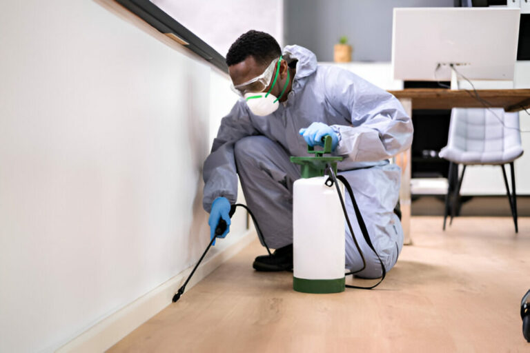 Long term pest control strategies for apartments