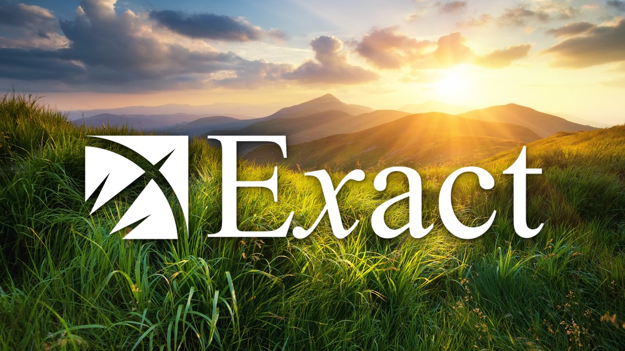 Erp Erp exact